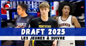 NBA夏季交易风云：詹姆斯加盟尼克斯，唐斯助独行侠崛起